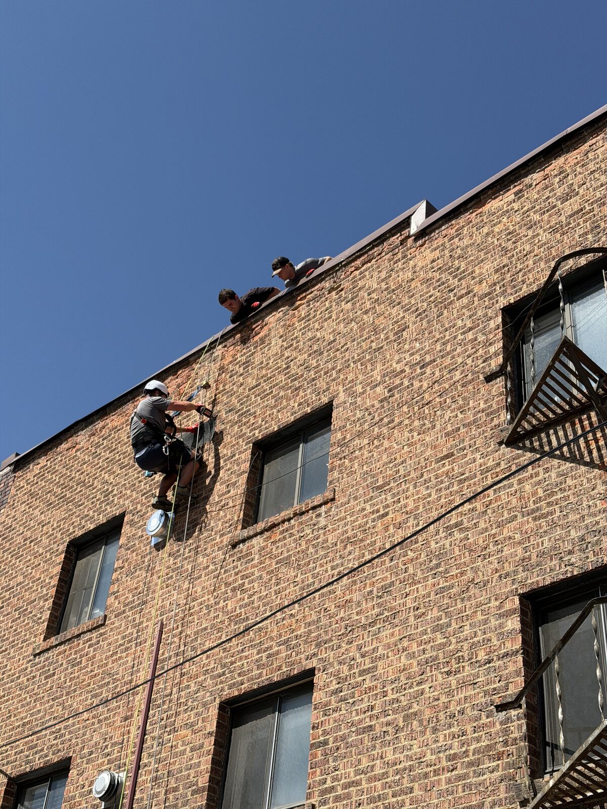 Rope-access bat exclusion on a brick apartment building