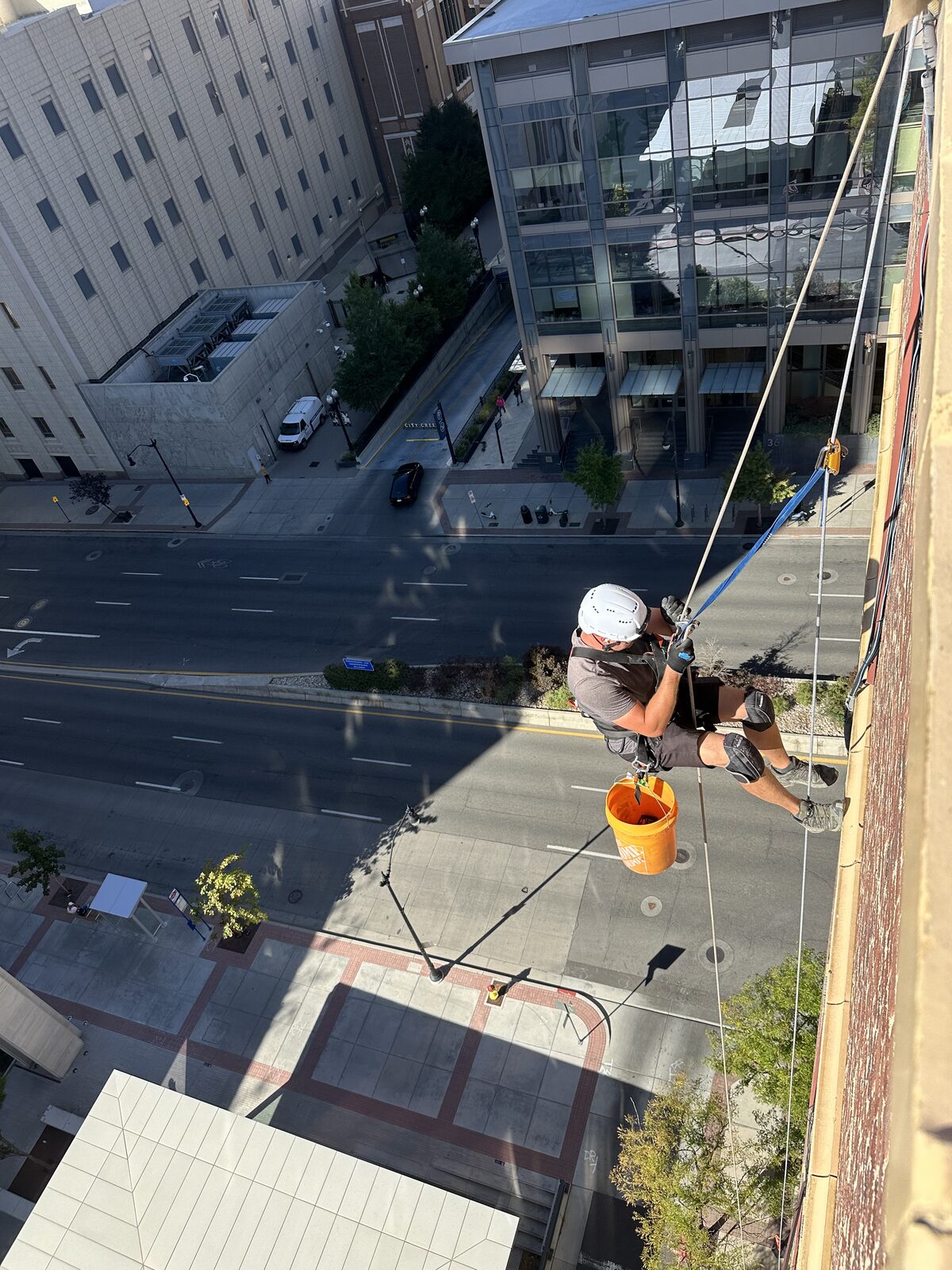 Rope-access bat exclusion on a multistory building exterior