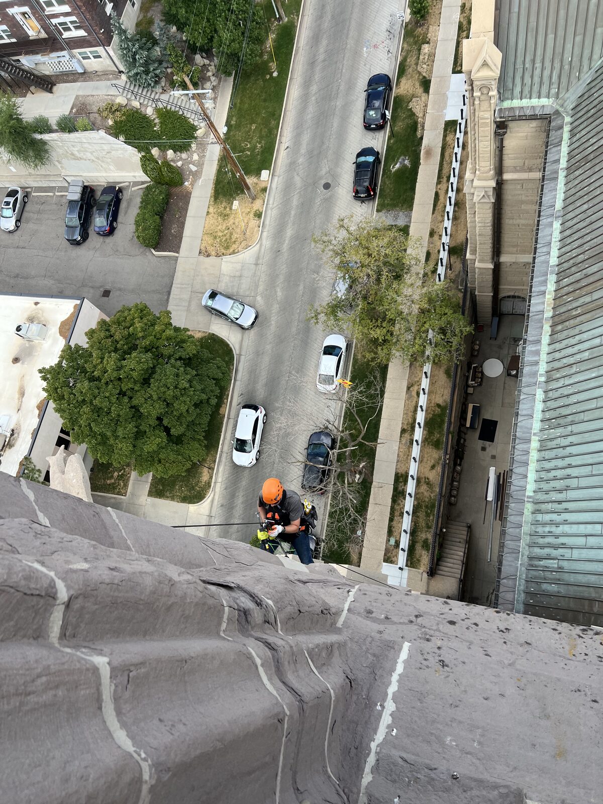Rope technician inspecting a tall wall for bat entry points