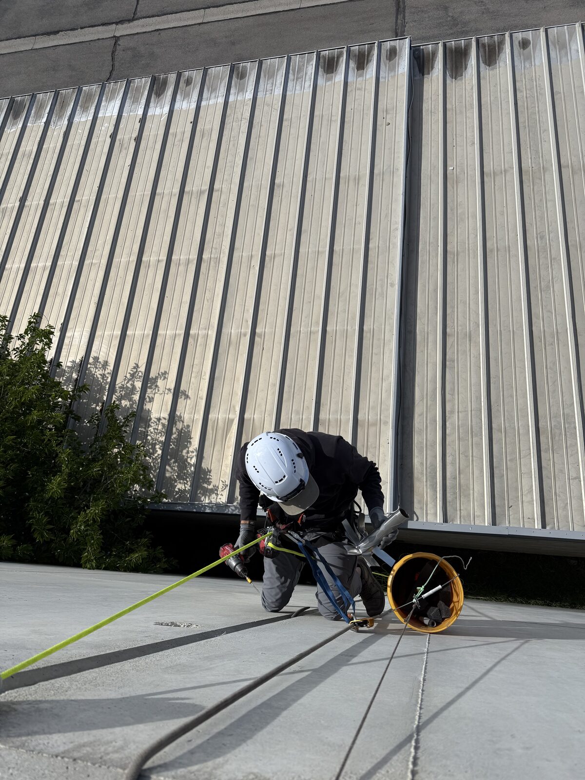 Technician organizing materials for exterior bat proofing