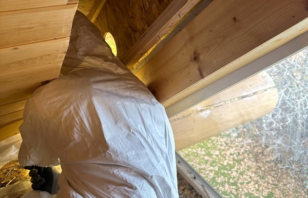 Bat Removal expert performing attic inspection