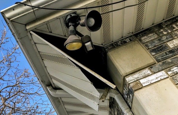 Common bat entry points