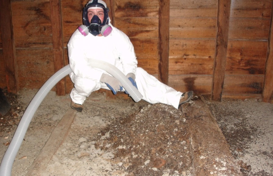 professional attic restoration after